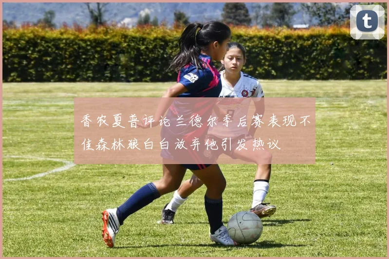 香农夏普评论兰德尔季后赛表现不佳森林狼白白放弃他引发热议
