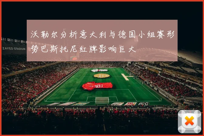 沃勒尔分析意大利与德国小组赛形势巴斯托尼红牌影响巨大